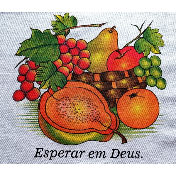 Kit Presente: Pano de Prato Sarja Estampado | Kit com 10 unidades 45cmX74cm - Grande - Image 3
